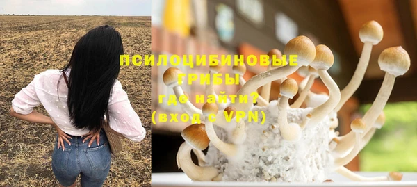 ALPHA-PVP Алексин