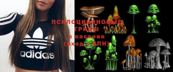 ALPHA-PVP Алексин