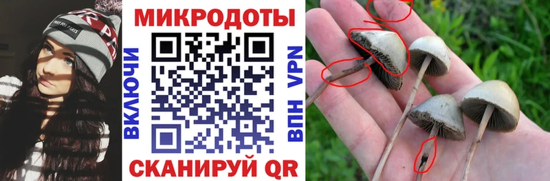 хочу наркоту  Дзержинск  Псилоцибиновые грибы мухоморы 