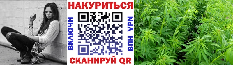МАРИХУАНА гибрид Дзержинск